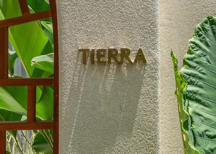 Hotel Alegria De La Vida 5*