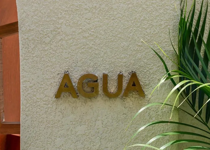 Hotel Alegria De La Vida 5*