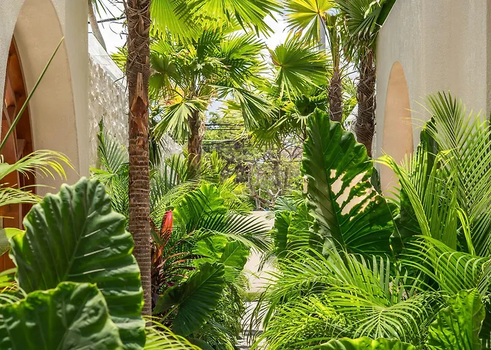 Hotel Alegria De La Vida 5*