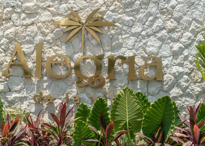 Alegria De La Vida